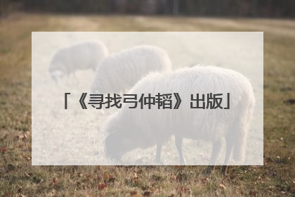 《寻找弓仲韬》出版