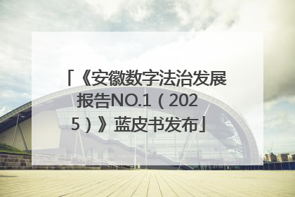 《安徽数字法治发展报告NO.1（2025）》蓝皮书发布