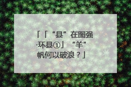 「“县”在图强·环县①」“羊”帆何以破浪？