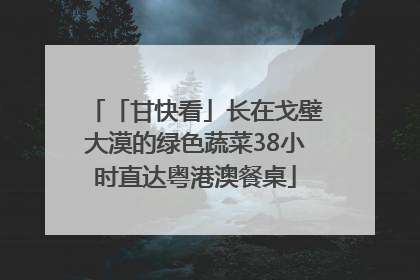「甘快看」长在戈壁大漠的绿色蔬菜38小时直达粤港澳餐桌