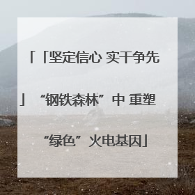 「坚定信心 实干争先」“钢铁森林”中 重塑“绿色”火电基因