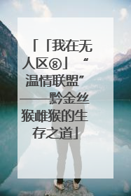 「我在无人区⑧」“温情联盟”——黔金丝猴雌猴的生存之道