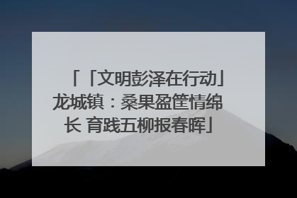 「文明彭泽在行动」龙城镇：桑果盈筐情绵长 育践五柳报春晖