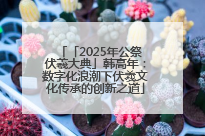 「2025年公祭伏羲大典」韩高年：数字化浪潮下伏羲文化传承的创新之道