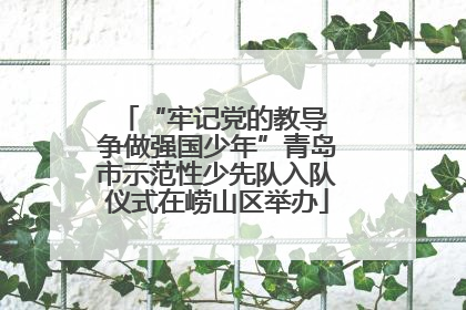 “牢记党的教导 争做强国少年”青岛市示范性少先队入队仪式在崂山区举办