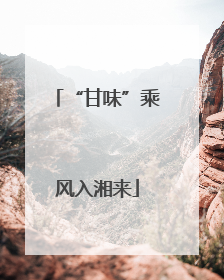“甘味”乘风入湘来