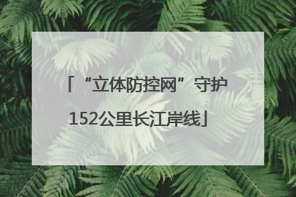 “立体防控网”守护152公里长江岸线