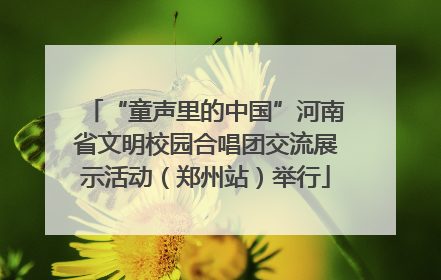 “童声里的中国”河南省文明校园合唱团交流展示活动（郑州站）举行
