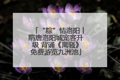 “粽”情洛阳丨隋唐洛阳城宠客升级 背诵《离骚》免费游览九洲池