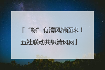 “粽”有清风拂面来！五社联动共织清风网