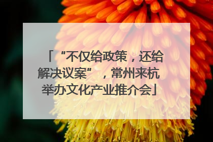 “不仅给政策，还给解决议案”，常州来杭举办文化产业推介会