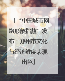 “中国城市网络形象指数”发布：郑州市文化与经济维度表现出色