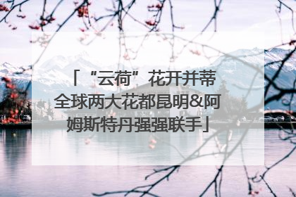 “云荷”花开并蒂 全球两大花都昆明&阿姆斯特丹强强联手