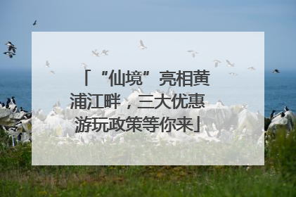 “仙境”亮相黄浦江畔，三大优惠游玩政策等你来