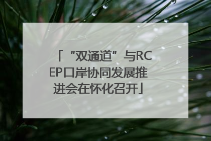 “双通道”与RCEP口岸协同发展推进会在怀化召开