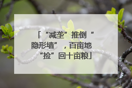 “减垄”推倒“隐形墙”，百亩地“捡”回十亩粮