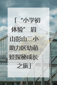 “小学初体验” 眉山彭山二小助力区幼萌娃探秘成长之旅