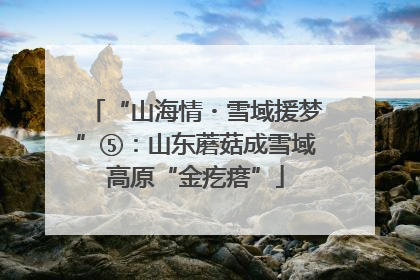 “山海情・雪域援梦”⑤：山东蘑菇成雪域高原“金疙瘩”