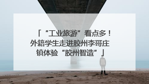 “工业旅游”看点多！外籍学生走进胶州李哥庄镇体验“胶州智造”