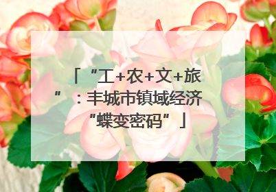 “工+农+文+旅”：丰城市镇域经济“蝶变密码”
