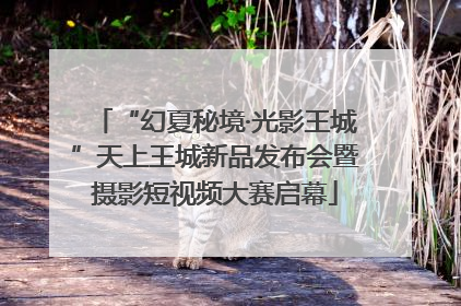 “幻夏秘境·光影王城”天上王城新品发布会暨摄影短视频大赛启幕