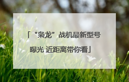“枭龙”战机最新型号曝光 近距离带你看