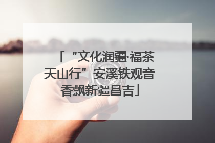 “文化润疆·福茶天山行”安溪铁观音香飘新疆昌吉