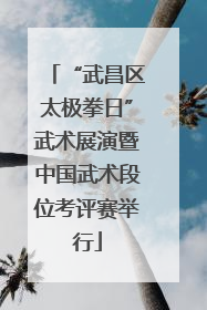 “武昌区太极拳日”武术展演暨中国武术段位考评赛举行