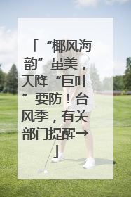 “椰风海韵”虽美，天降“巨叶”要防！台风季，有关部门提醒→
