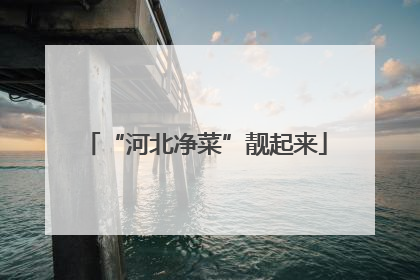 “河北净菜”靓起来