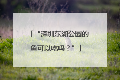 “深圳东湖公园的鱼可以吃吗？”