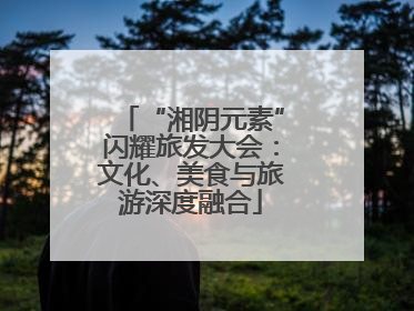 “湘阴元素”闪耀旅发大会：文化、美食与旅游深度融合