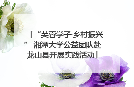 “芙蓉学子·乡村振兴” 湘潭大学公益团队赴龙山县开展实践活动