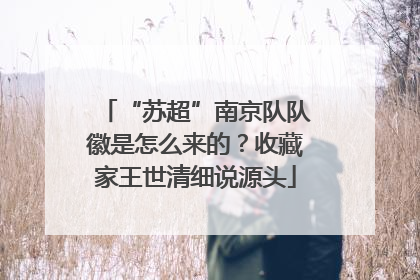 “苏超”南京队队徽是怎么来的？收藏家王世清细说源头