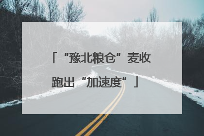 “豫北粮仓”麦收跑出“加速度”