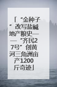“金种子”改写盐碱地产粮史——“齐民27号”创黄河三角洲亩产1200斤奇迹