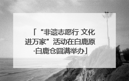 “非遗志愿行 文化进万家”活动在白鹿原·白鹿仓圆满举办