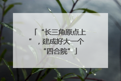 “长三角原点上”，建成好大一个“四合院”