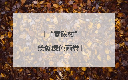 “零碳村” 绘就绿色画卷