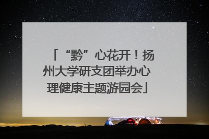 “黔”心花开！扬州大学研支团举办心理健康主题游园会