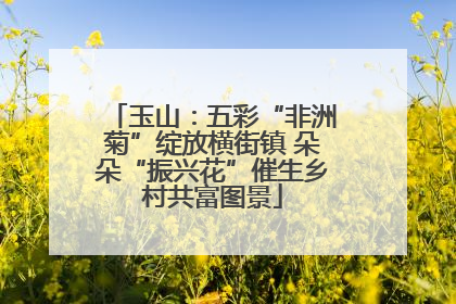 玉山：五彩“非洲菊”绽放横街镇 朵朵“振兴花”催生乡村共富图景