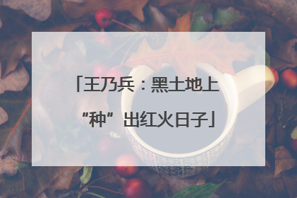 王乃兵：黑土地上“种”出红火日子