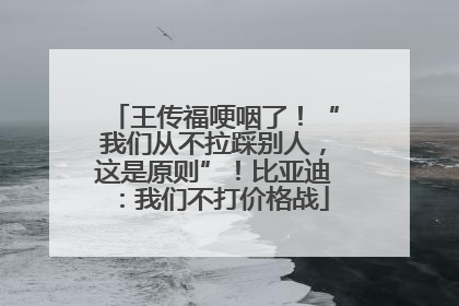 王传福哽咽了！“我们从不拉踩别人，这是原则”！比亚迪：我们不打价格战