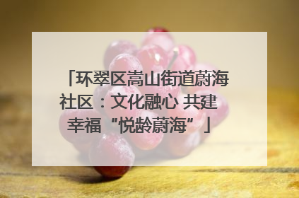 环翠区嵩山街道蔚海社区：文化融心 共建幸福“悦龄蔚海”