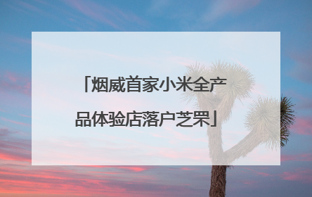 烟威首家小米全产品体验店落户芝罘