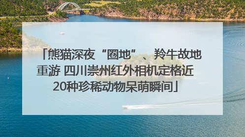 熊猫深夜“圈地”、羚牛故地重游 四川崇州红外相机定格近20种珍稀动物呆萌瞬间