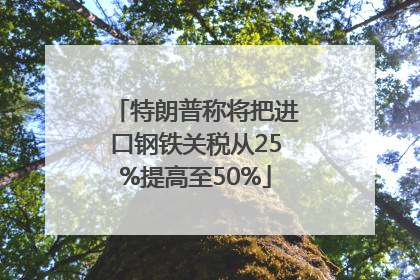 特朗普称将把进口钢铁关税从25%提高至50%