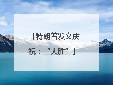 特朗普发文庆祝：“大胜”