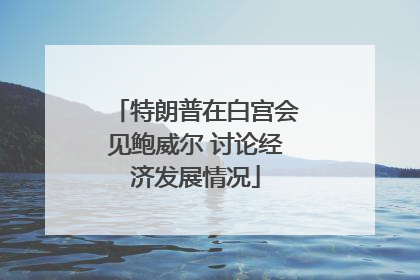 特朗普在白宫会见鲍威尔 讨论经济发展情况