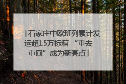 石家庄中欧班列累计发运超15万标箱 “重去重回”成为新亮点